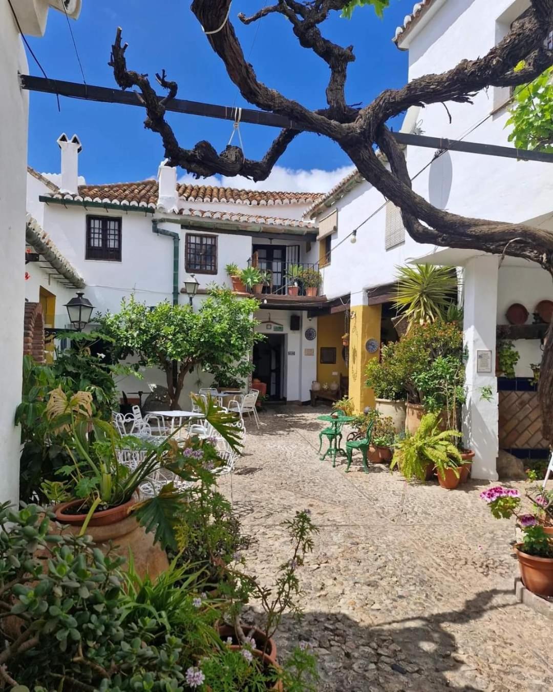 Hotel Rural Verde Oliva Comares エクステリア 写真